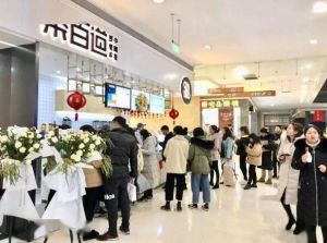 青岛狗子28加盟费是多少？